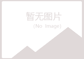 上海夏岚钢结构有限公司